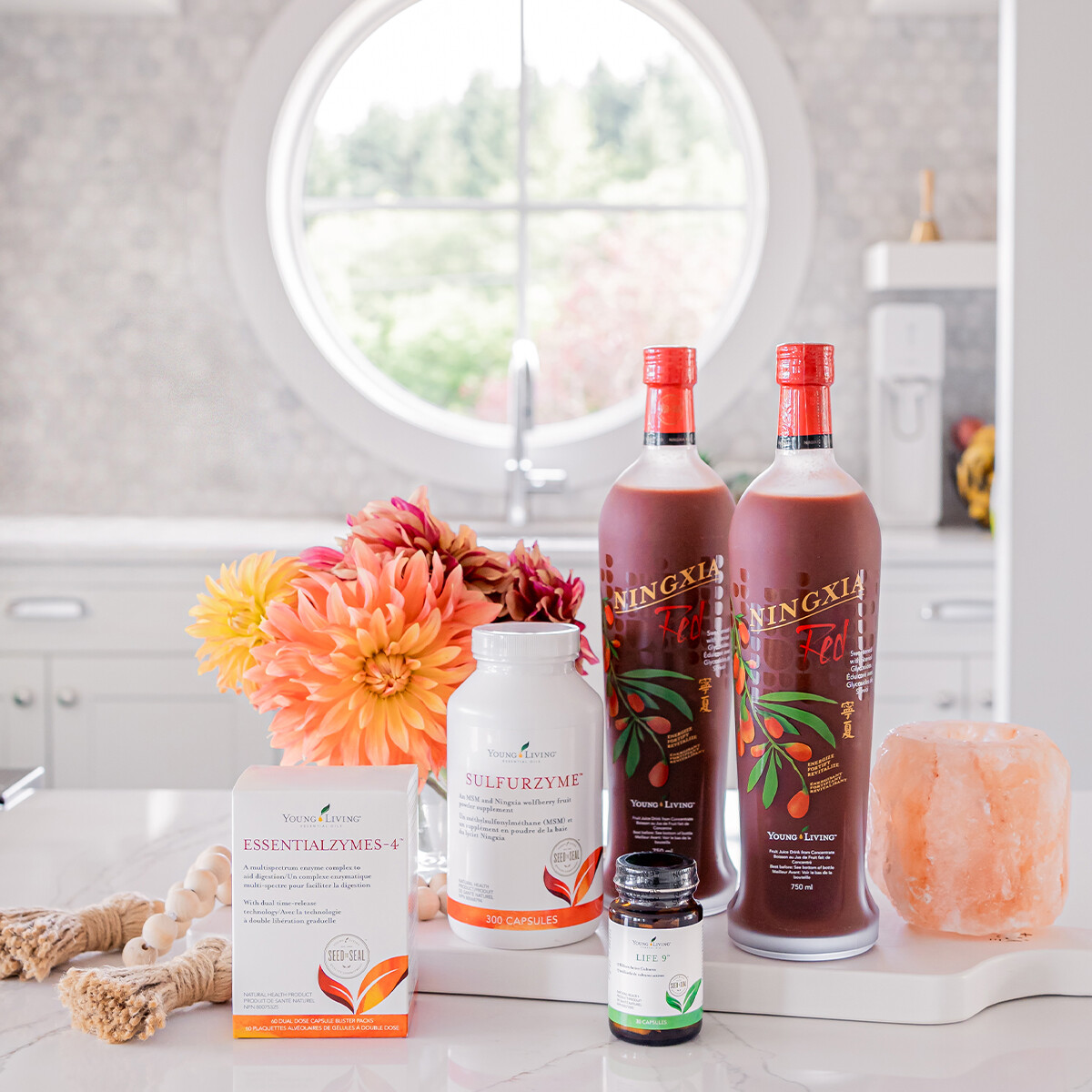 Money Matters: Why Everyone Should Consider Investing