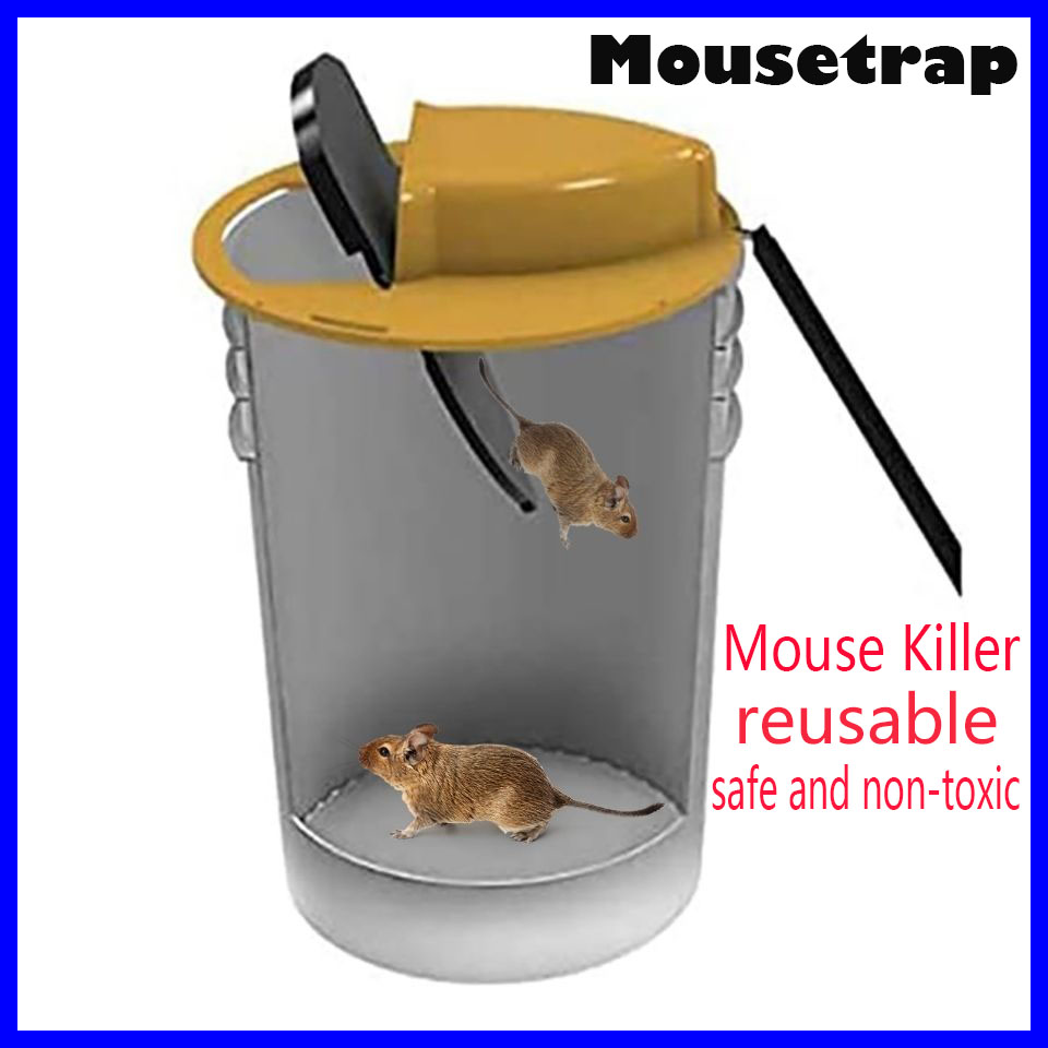 Risk Smart, Not Hard: Safe Ways to Grow Your Money